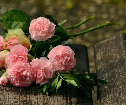 Pogrzeb – na jakie kwiaty się zdecydować?