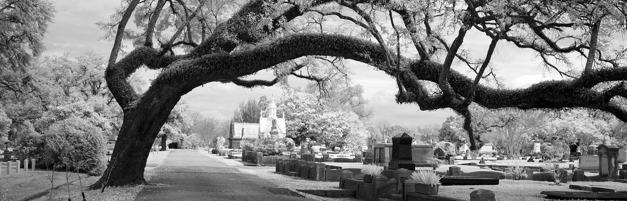 Cmentarz Komunalny Północny w Warszawie